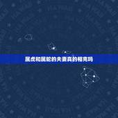 属虎和属蛇的夫妻真的相克吗，蛇和虎相害是谁受害