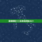 属相婚配十二生肖年龄表2021，十二生肖匹配表