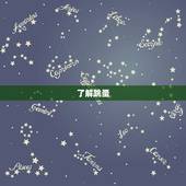 家里有狗跳蚤怎么消灭(快速有效的方法分享)