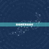 属相婚配更佳组合，十二生肖相生相克