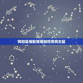 狗和鼠相配婚姻如何男狗女鼠，狗和鼠相配婚姻如何