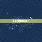 属鼠的婚配属相最好，属鼠的和什么属相最配 属鼠的属相婚配表