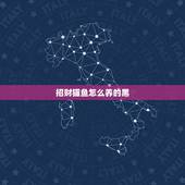 招财猫鱼怎么养的黑，招财猫鱼该怎么养？请高手详细解答。