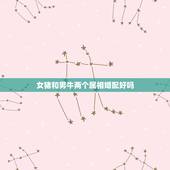 女猪和男牛两个属相婚配好吗，生肖猪和牛相配？