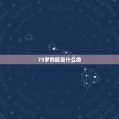 73岁的鼠是什么命，84年的鼠是什么命的人