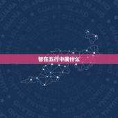 智在五行中属什么，硕是什么意思五行属