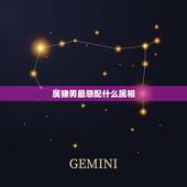 属猪男最忌配什么属相，属猪的和什么属相最配_属猪的和什么属相不配