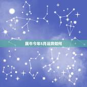 属牛今年5月运势如何，属牛阳历五月份今年财运如何