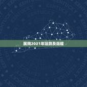 属狗2021年运势及运程，我属狗，在2021年运势好吗？