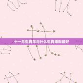 十一月生肖羊与什么生肖婚配最好，属羊的和什么属相相配最好