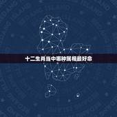 十二生肖当中哪种属相最好命，12生肖哪个属相最好？