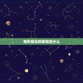 奇形怪壮的属相是什么，奇形怪状是什么生肖