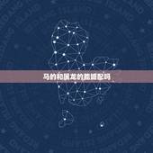马的和属龙的能婚配吗，属龙的女和属马的男是好的婚配吗