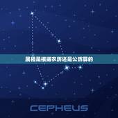 属相是根据农历还是公历算的，十二生肖是按阳历，还是阴历算