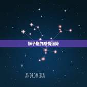 狮子座的感情运势，狮子座感情观