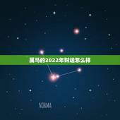 属马的2022年财运怎么样，2022生肖猪1983运势运程