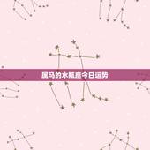 属马的水瓶座今日运势，属马的水瓶座今年运势如何？