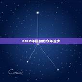 2022年属猪的今年虚岁，生肖年龄对照表2021