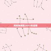 鸡和狗婚配2022年结婚，男属鸡女属狗配婚好吗？