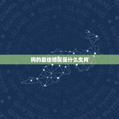 狗的最佳婚配是什么生肖，属狗的最佳配偶生肖是？