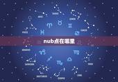 nub点在哪里，nub看男女准吗
