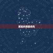 属鼠的跟属虎的，鼠和虎的属相适合做夫妻吗