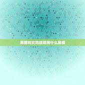 男猴和女鸡结婚用什么属相，男猴和女鸡属相配不？