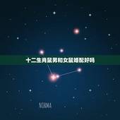 十二生肖鼠男和女鼠婚配好吗，属鼠女跟属鼠男的可以在一起结婚吗，相配吗？