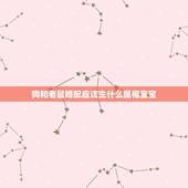 狗和老鼠婚配应该生什么属相宝宝，属鼠最佳婚配属相