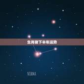 生肖猪下半年运势，2016年属猪的运势如何