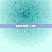 养殖黑鱼有什么技巧，黑鱼的养殖方法是什么？