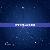 处女座今天运势查询，处女座今日运势