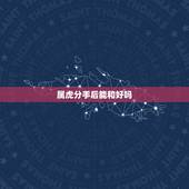属虎分手后能和好吗，属虎女分手后的态度