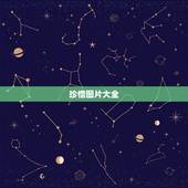 珍惜图片大全，有关珍惜生命的图片