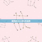 属狗的2022年6月运势，属狗的2022年运势和财运怎么样