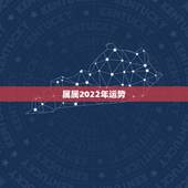 属属2022年运势，1996年属鼠男在2022年每月运