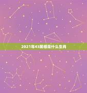 2021年43属相是什么生肖，2021年十二生肖对照表