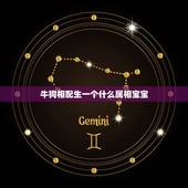 牛狗相配生一个什么属相宝宝，属狗和属牛的生什么属相的孩子比较好