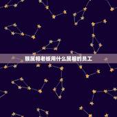 猴属相老板用什么属相的员工，属猴的老板娘和什么属相的员工合财气
