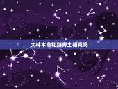 大林木命和路旁土相克吗，大林木克什么土