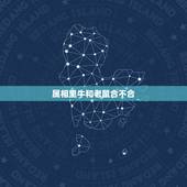 属相里牛和老鼠合不合，属牛和属鼠的八字合吗，属牛与属鼠的八字合不合