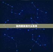 鼠的朋友是什么生肖，鼠日冲马合生肖对谁不利