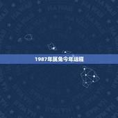 1987年属兔今年运程，属兔的人1987年，11月15日出生的运程
