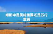 婚配中是属相重要还是五行重要，结婚是看属相还是五行