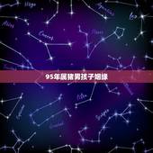 95年属猪男孩子姻缘，95年属猪的男生要晚婚