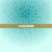 七叶莲水培植物，七叶莲的养殖方法