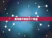 属兔最不配的三个属相，属兔的和什么属相最配