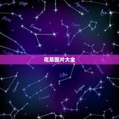 花草图片大全，花卉图片大全