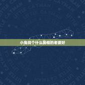 小兔找个什么属相的老婆好，属兔的娶哪个方向的老婆好