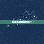 猴和什么属相最配兔子，属猴和属兔是不是相克哦？